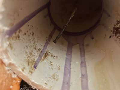 PVC Drain Pipe Replacement